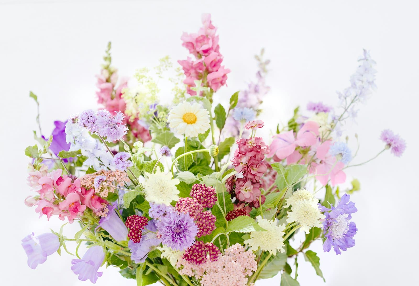 Pastel bouquet of snapdragons, scabiosa and daisies