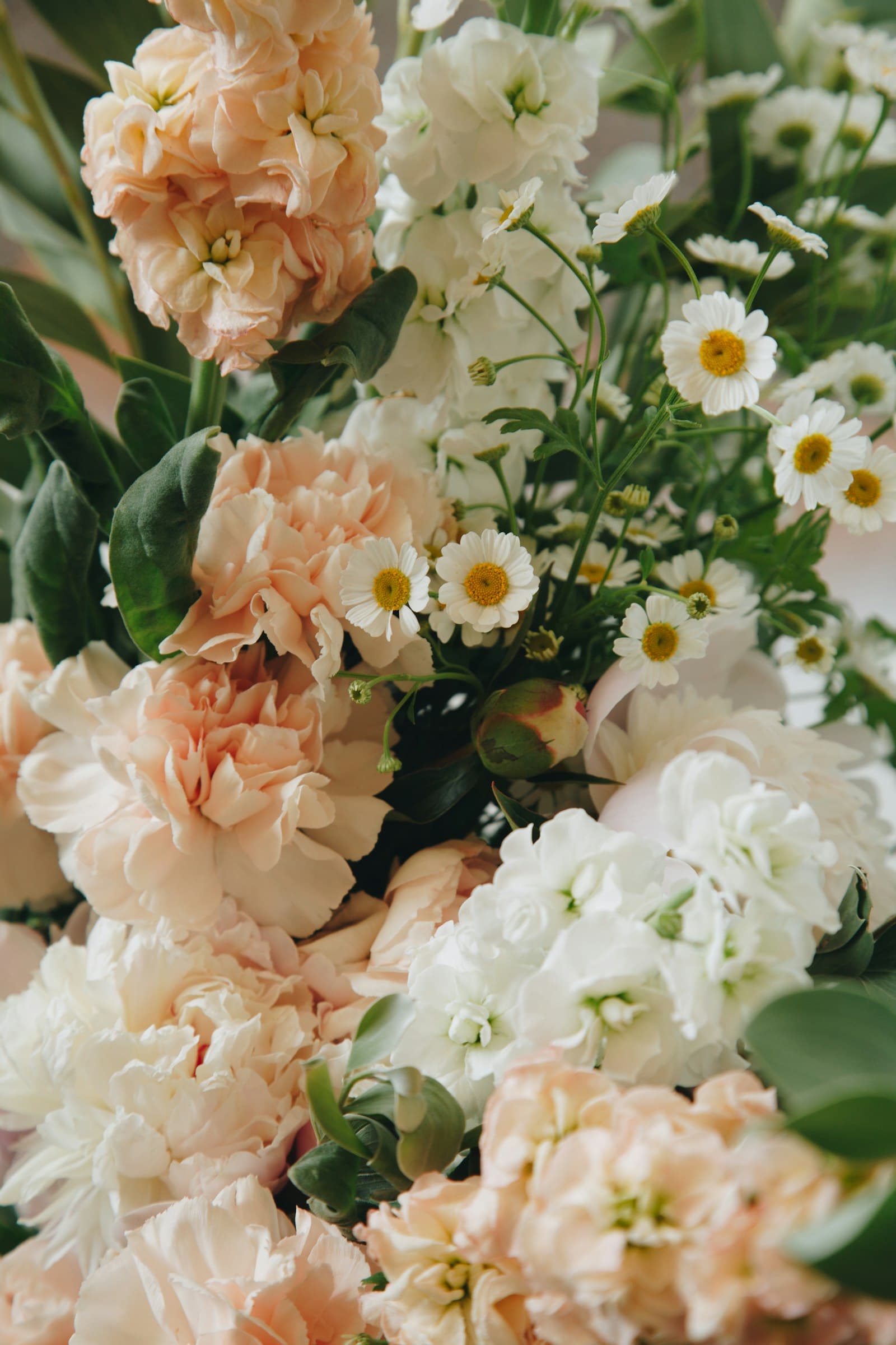 Peach and white stock flowers, roses and chamomile