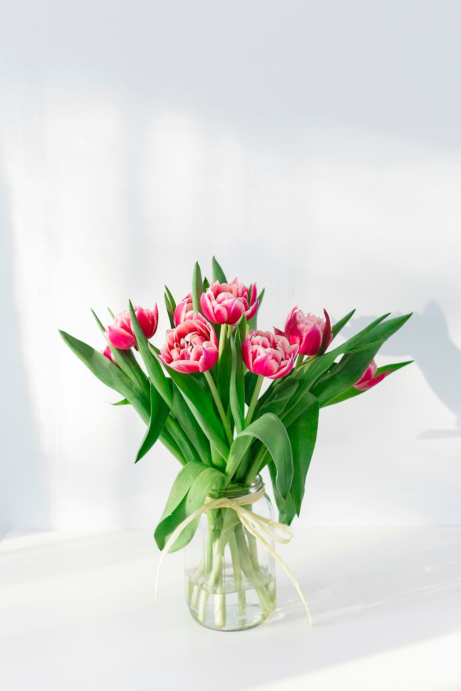 Double pink tulips in a glass vase with twine